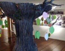 Descubre el encanto del turismo literario en Soria: Museo de los Poetas