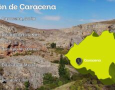Descubre los mejores senderos de Soria para tu próximo viaje de turismo activo